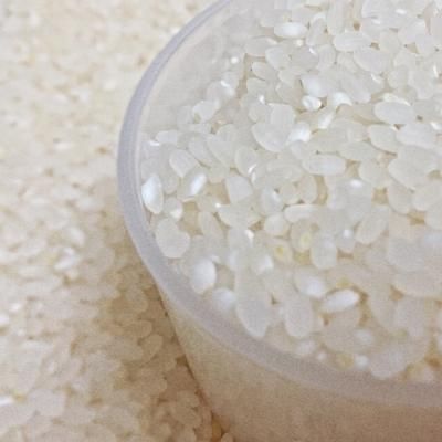 【2024年製 新品】 無洗米】 魚奏 国産100％ 5kg めちゃう米 国産ブレンド 業務用 米・雑穀・粉類