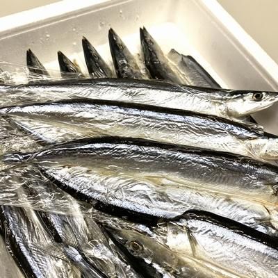 ケース販売】北海道産 さんま開き 100枚（20枚×5パック） 明石加工
