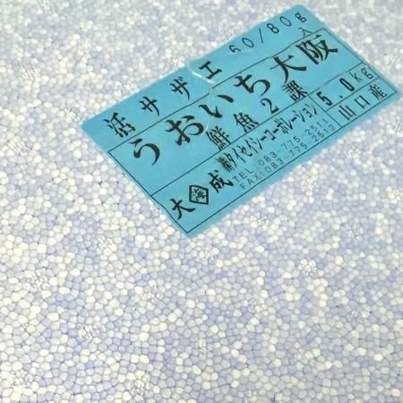 活さざえ サザエ 栄螺 【60/80g】 1kg 約14〜15個 生食可能 BBQ