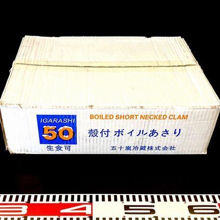 あさりページ あさり 楽天市場】ボイル剥き身あさり IQF 1kg(約300-500個入) 13204