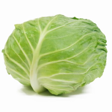 キャベツ　1玉　きゃべつ　cabbage　1個　 - Ushop