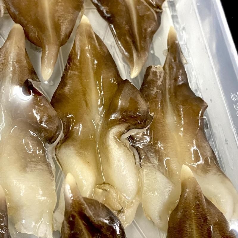 とり貝 1パック（7寸9入）トリ貝 鳥貝 1パック お刺身用 生食用 寿司