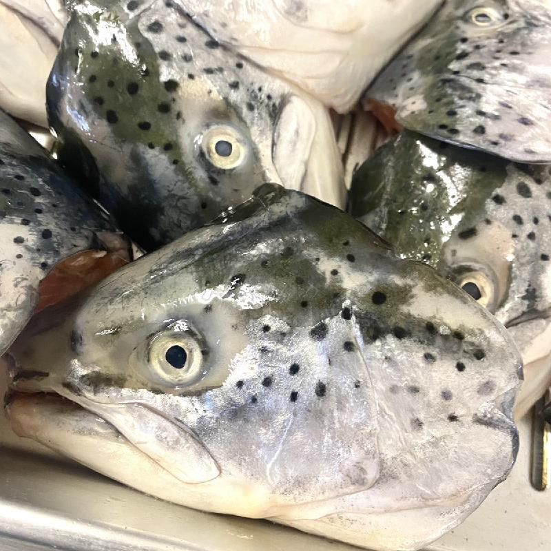 100パック限定特価】サーモン頭 1kg（4～5個