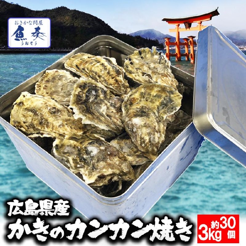 広島産 殻付き牡蠣 訳あり 3キロ(約30個) カンカン焼き カキ かき 宮島 BBQ ナイフ 軍手付 - Ushop