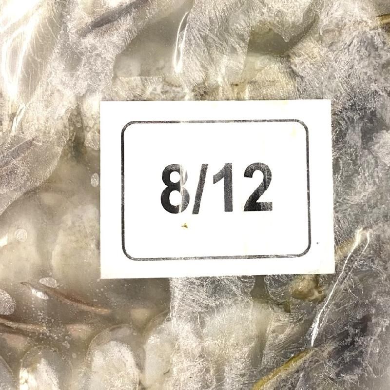 エビ中　エビスジャケットXLサイズ eb's エビス スノーボード プロテクター ジャケット ユニセックス