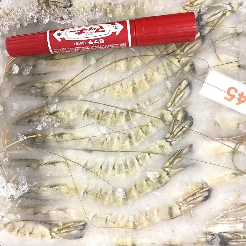 えびさん 有頭えび BT 45尾 | ブラックタイガー海老 - Ushop