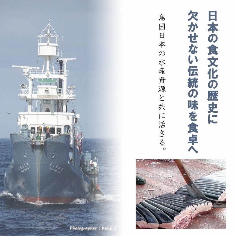 楽天ブックス: 鯨鯢の鰓にかく - 商業捕鯨 再起への航跡 - 山川