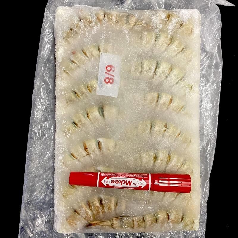ブラックタイガー海老ケース販売 | 特大サイズ えび - Ushop