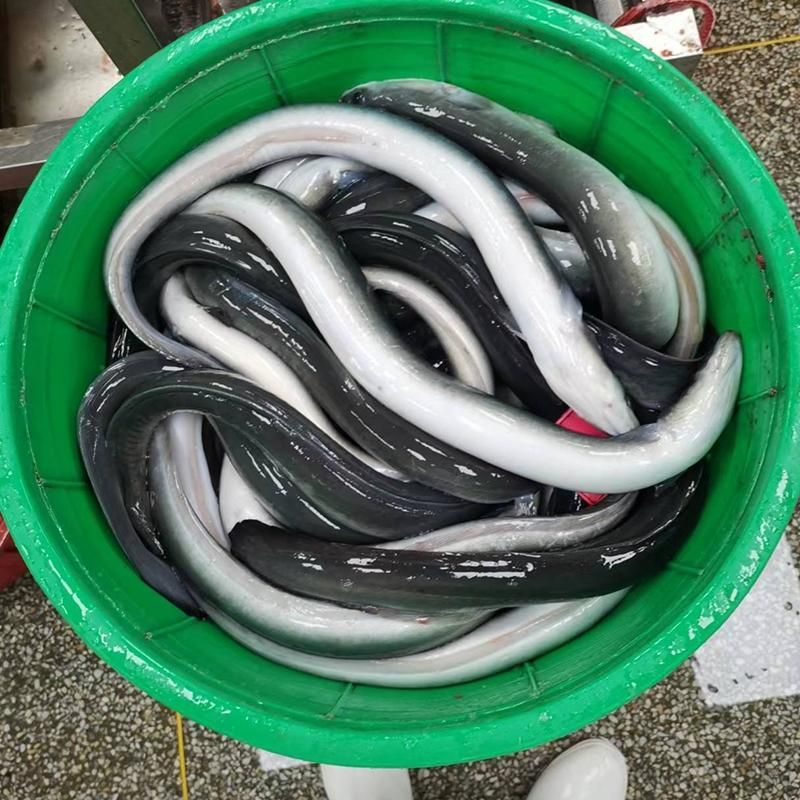 うなぎ蒲焼 90g×20串 | にほんうなぎ - Ushop