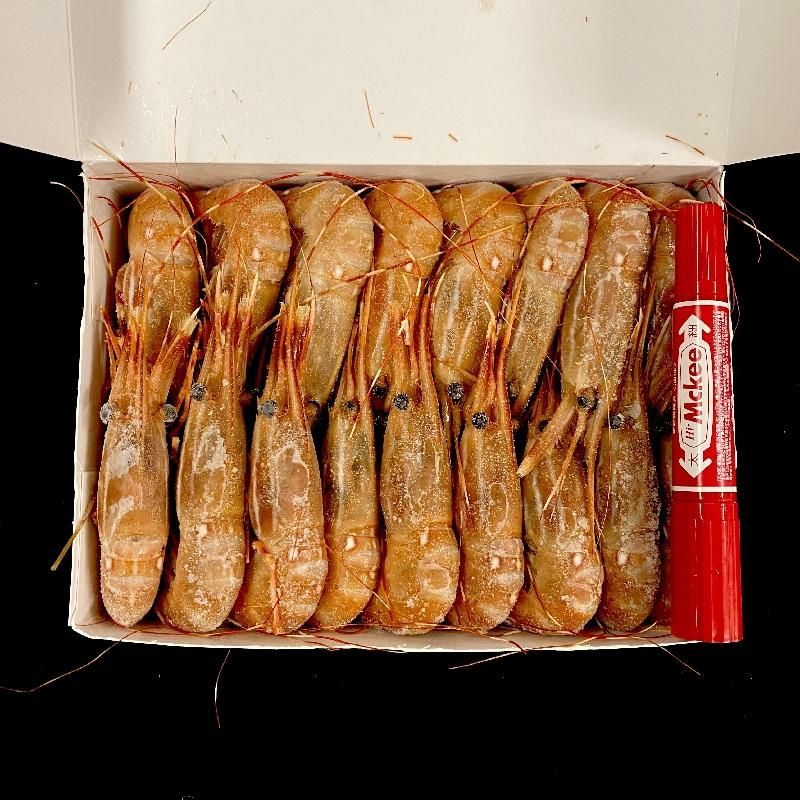 カナダ ぼたん Lサイズ 1kg 約30尾 ボタン海老 牡丹えび カナダ ぼたん Lサイズ 1kg 約30尾 ボタン海老 牡丹えび