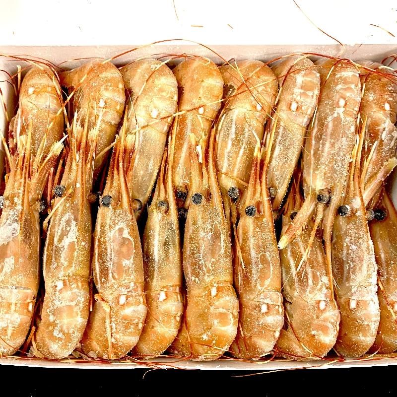 ケース販売】カナダ ぼたん Lサイズ 1kg（約30尾）×12パック ボタン