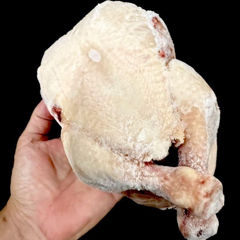 丸鶏 1羽 約1kg | ブラジル産 - Ushop