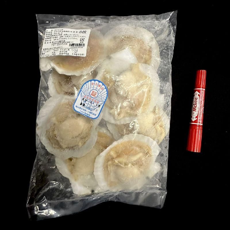 貝出品　【貝専用】 ほたて片貝 2L | 大サイズ - Ushop