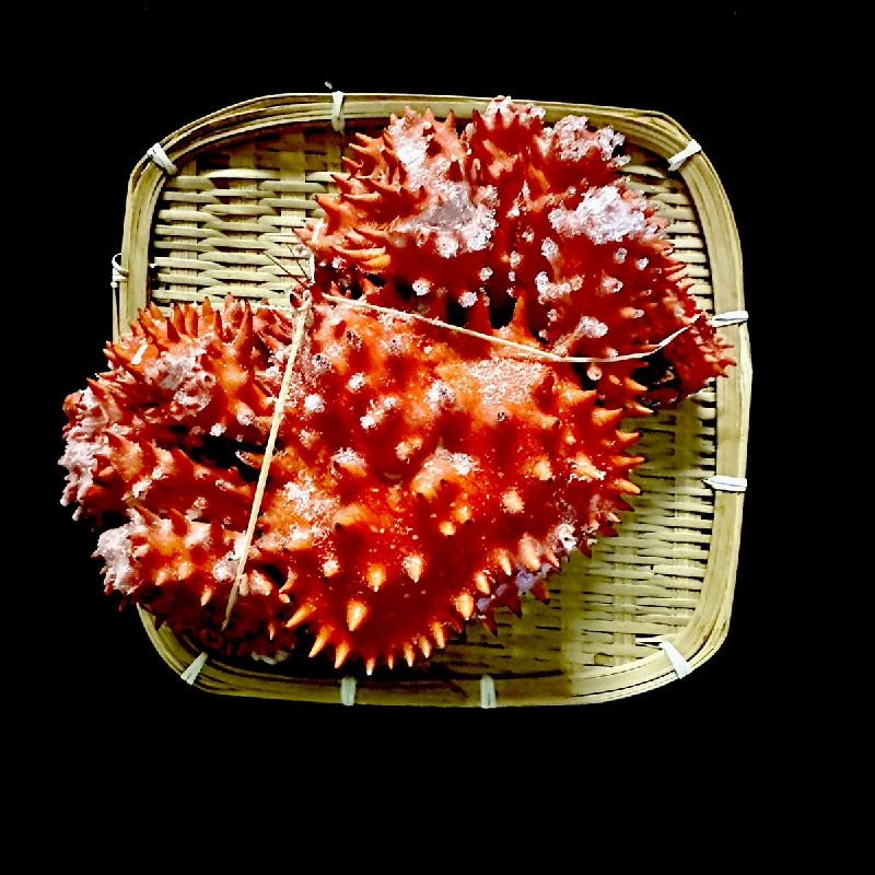 ケース販売】 北海道産 ボイル花咲かに 4kg(6/7尾 )オス かに カニ 蟹 