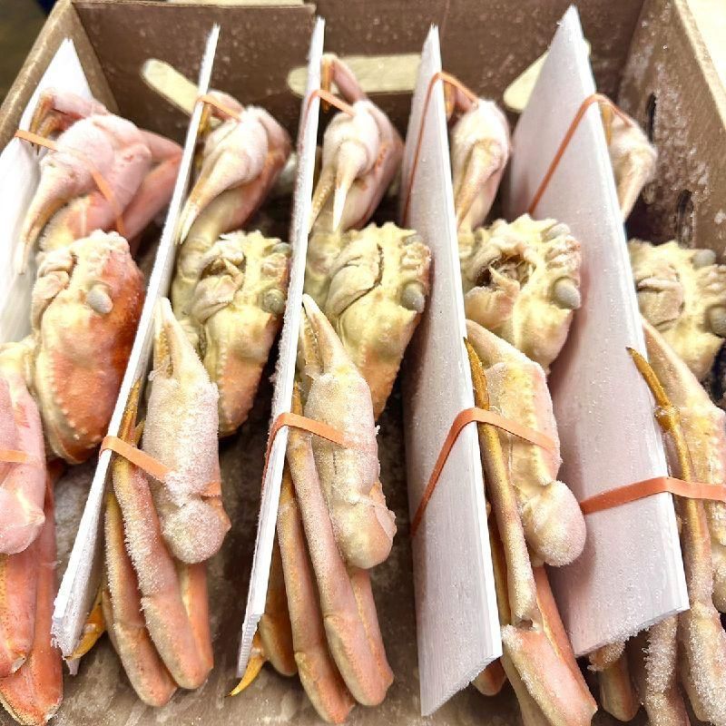 SSK　冷凍ズワイガニ 1尾 業務用】生冷凍 オオズワイガニ 5kg 1尾200g前後 ｜ 1kg ￥436