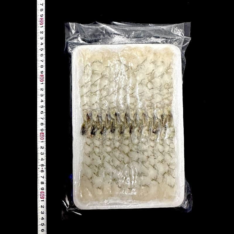 尾付伸ばしえび 3L | ブラックタイガー - Ushop