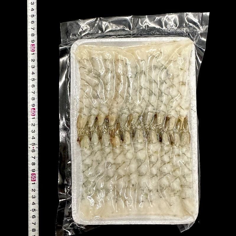 尾付伸ばしえび 3L|大サイズ - Ushop