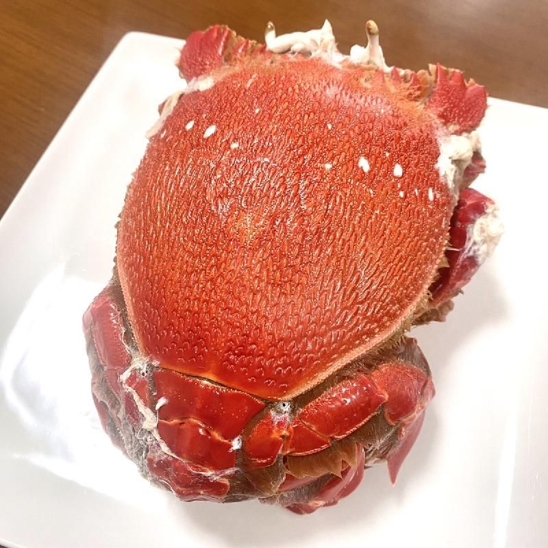 特大サイズ あさひかに | 幻の蟹 - Ushop