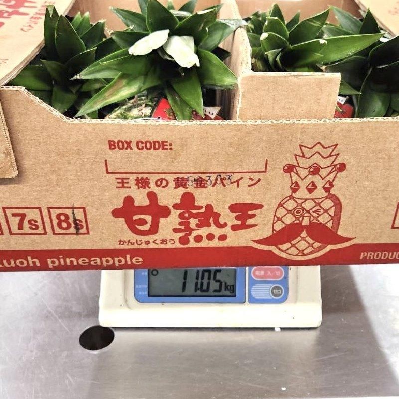 最安★【新品未開封】ノビルン パイナップル味★4袋セット キリン 氷結 パイナップル 500ml×24本 1ケース ロング缶 u-yu