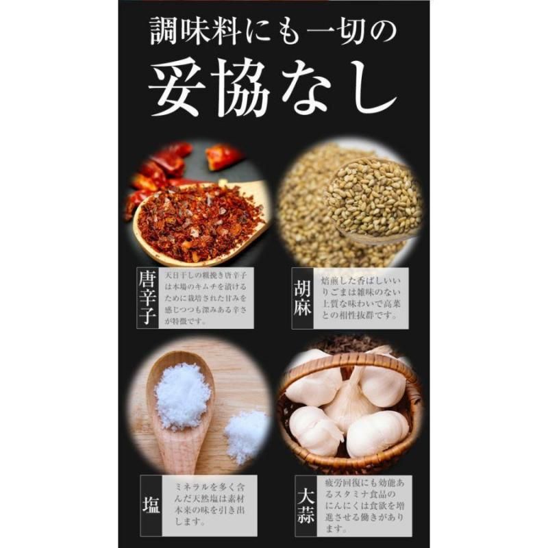 魚屋の明太高菜 | 95g×10パック - Ushop