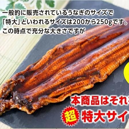 うなぎ蒲焼き 1尾 約400ｇ前後【25尾型】 うなぎ ウナギ 鰻 炭火焼