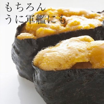 チリ産 冷凍うに 100ｇ 生食用 無添加 Vグレード ミョウバン不使用