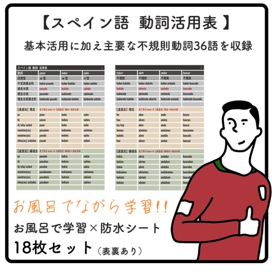 スペイン語 動詞活用表 お風呂で学習シート 基本活用に加え主要な不規則動詞36語を収録 複雑なスペイン語動詞の活用を表