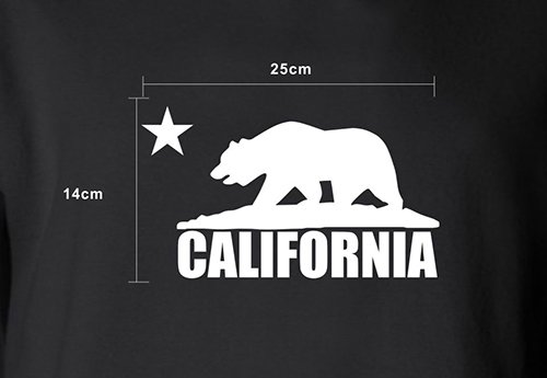 大特価】7色展開 California カリフォルニア フロントロゴ ベア 長袖