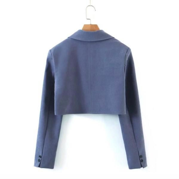 フルジップ　ジャケット　クロップド丈　スカート　セットアップ　サイズL 新品 大特価】2色展開 クロップドジャケット ショート丈 ブレザー