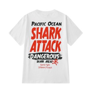 òۥۥ磻 shark attack dangerous Хå T Ⱦµ ȥåץ åȥ ڹ ݡ 