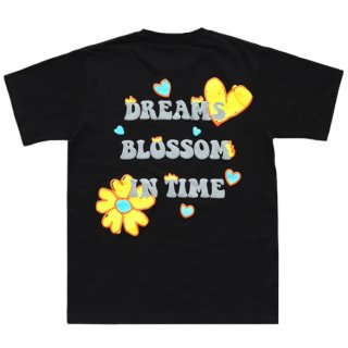 òۥ֥å DREAM BLOSSOM IN TIME ǥ  ե ˥å T Ⱦµ ȥåץ åȥ