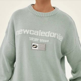 【大特価】2色展開 New Caledonia フロントロゴ オーバーサイズ ニット セーター トップス プルオーバー 韓国 インポート 通販