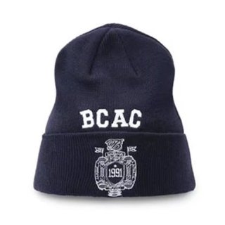 òۥͥӡ BCAC եȥ ɽǥ ӡˡ ˥å˹ ˹ ݡ 