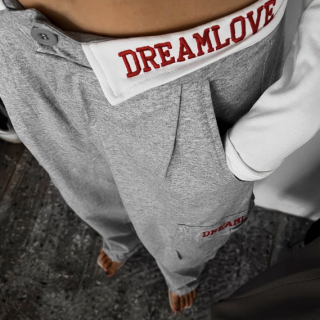 òۥ졼 󥦥 DREAM åȥѥ ѥ 󥰥ѥ ڹ ݡ 