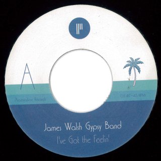 James Walsh Gypsy Band - I've Got The Feelin' / Caves Of Altamira