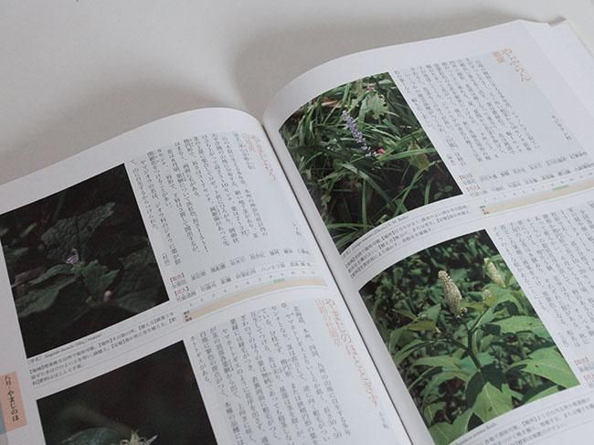 茶道　茶花大辞典 茶道具 辞典】新版 茶花大辞典（上巻・下巻） 淡交社刊 | 季節の