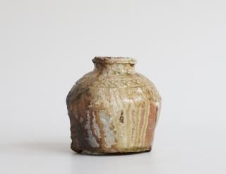 ˲