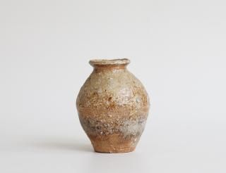 ˲