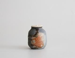 ˲