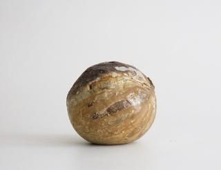 ˲