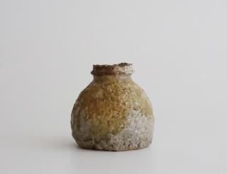 ˲