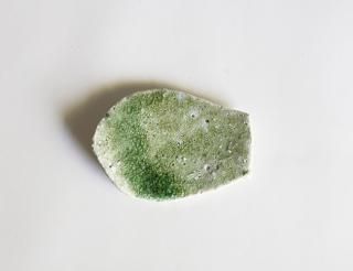 ϡ