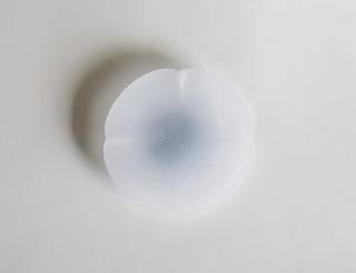 ۲(4) 