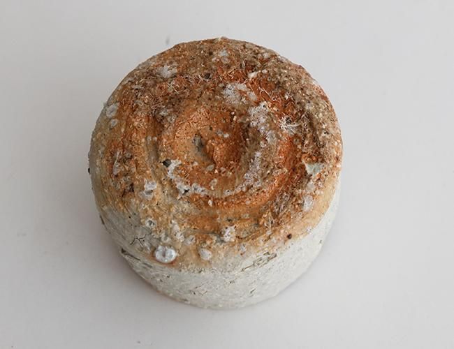 信楽ぐい呑 - yamahon online store