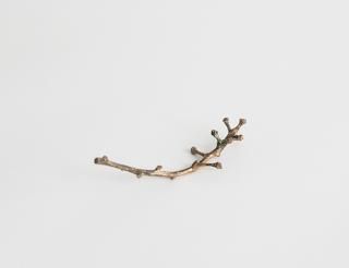 �֤ɤ��λޡʾ���