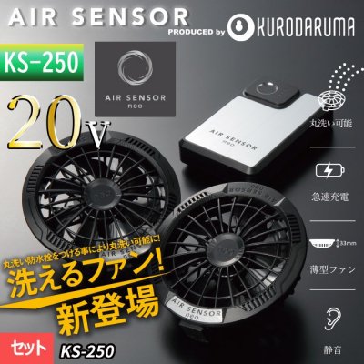  ¨Ǽ2025ǯKS-250ۥ󥵡ͥ 20V106Lݤϥѥե󡦥Хåƥ꡼ե륻åȡå KS-250