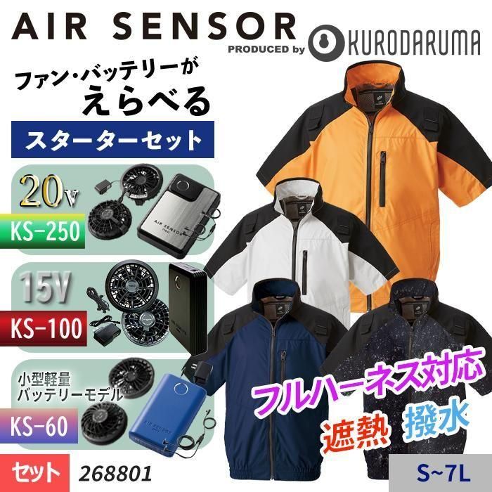 AR18枚セット ゾロア他 - メルカリ