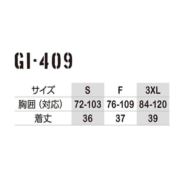 ʷ֡GI-409åץ17