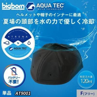  2025-26ǯbigbornAQUA TECۥХåƥ꡼ إåȤ˹ҤΥʡ˺ŬΥͥѤ륢ʡåסåӥåܡ AT9001