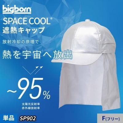  2025-'26ǯbigbornSPACE COOLѤθǮСǮåñΡʥͥåդˡåӥåܡ SP902